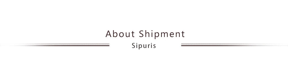 Sipuris Custom Name Necklace Personalized Golden Choker Stainless Steel Necklace For Women Man Customized Jewelry Weddings Gifts