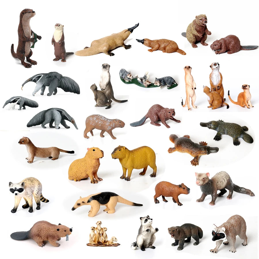 Realistic Woodland Creatures Figurines Toys Raccoon,Beavers ,Badger,Anteater,Platypus Easter Eggs Education Birthday Gift