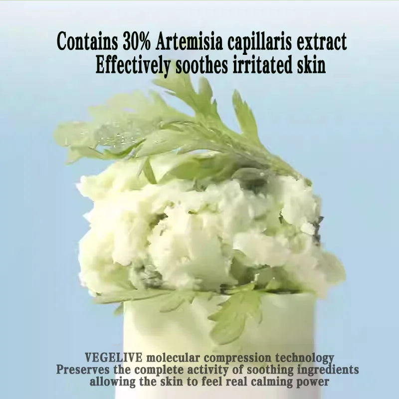 Beauty of Joseon Sunscreen Stick Waterproof Containing 30% Artemisia Capillaris Extract Which Effectively Soothes Irritated Skin