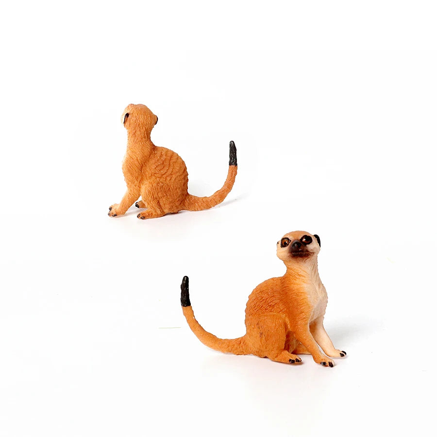 Realistic Woodland Creatures Figurines Toys Raccoon,Beavers ,Badger,Anteater,Platypus Easter Eggs Education Birthday Gift