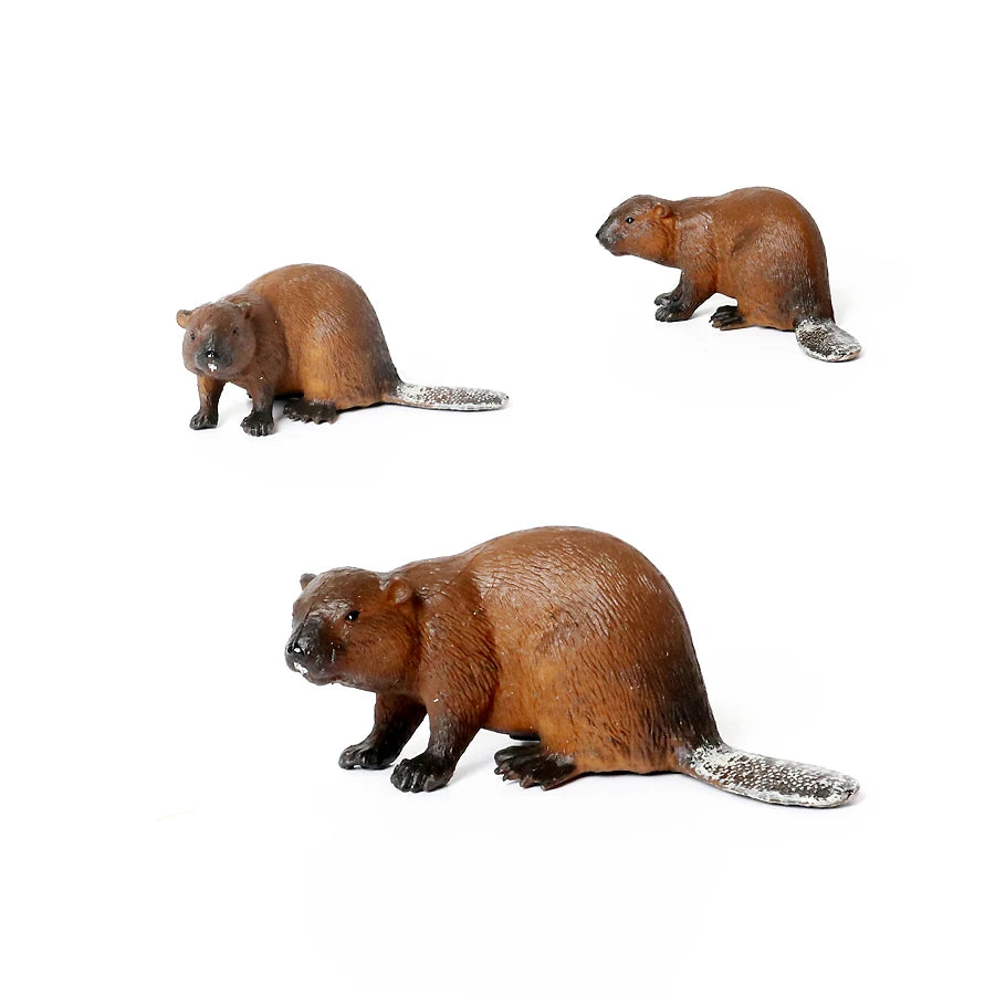 Realistic Woodland Creatures Figurines Toys Raccoon,Beavers ,Badger,Anteater,Platypus Easter Eggs Education Birthday Gift