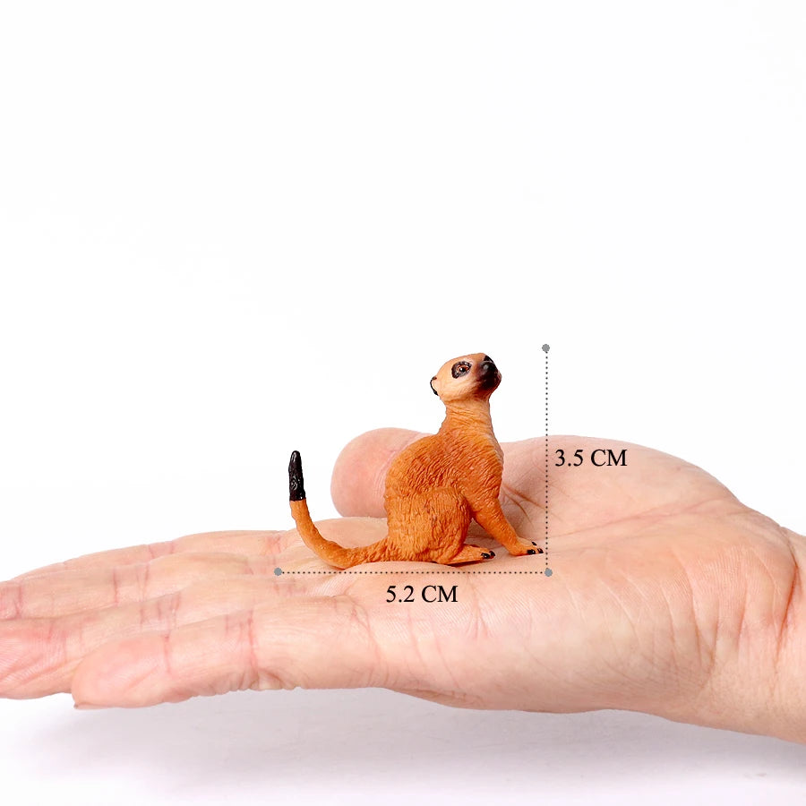 Realistic Woodland Creatures Figurines Toys Raccoon,Beavers ,Badger,Anteater,Platypus Easter Eggs Education Birthday Gift